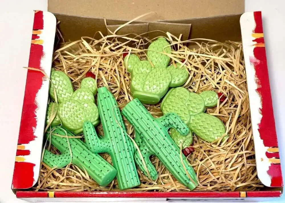 Vintage Prickly Pair String Lights Cactus 0pc – New Open‎ Box
